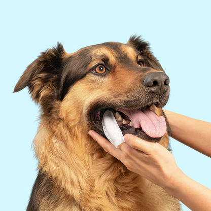 CleaniePets™ Cuidado Dental y Aliento Fresco